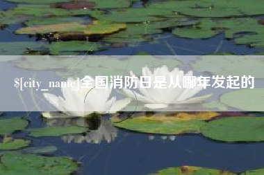 安陆全国消防日是从哪年发起的