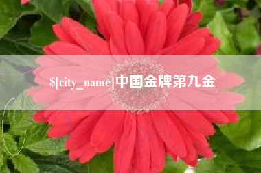 安陆中国金牌第九金