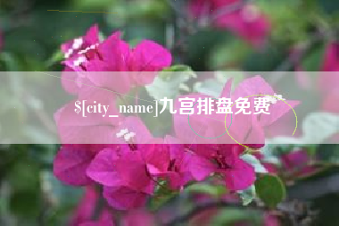 安陆九宫排盘免费