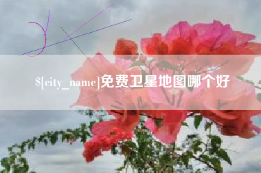 安陆免费卫星地图哪个好