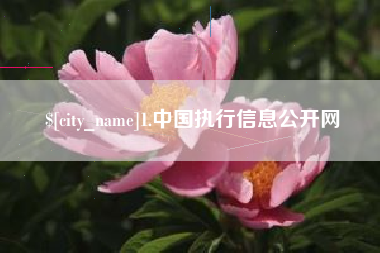 安陆1.中国执行信息公开网