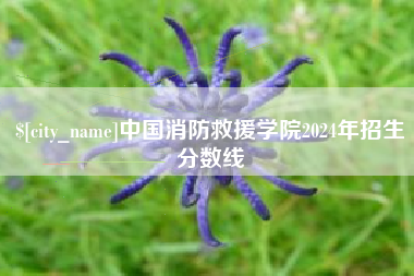 安陆中国消防救援学院2024年招生分数线