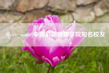 安陆中国消防救援学院知名校友