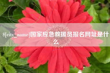 安陆国家应急救援员报名网址是什么