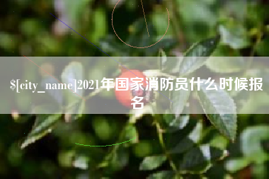 安陆2021年国家消防员什么时候报名