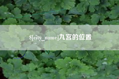 安陆九宫的位置