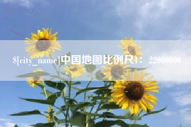 安陆中国地图比例尺1：22000000