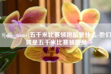 安陆五千米比赛领跑员是什么-他们就是五千米比赛领跑员