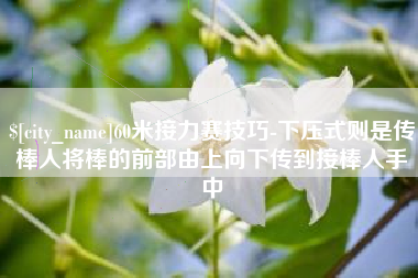 安陆60米接力赛技巧-下压式则是传棒人将棒的前部由上向下传到接棒人手中
