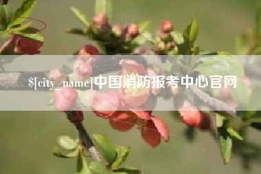 安陆中国消防报考中心官网
