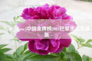 安陆中国金牌榜2024巴黎奥运会最新