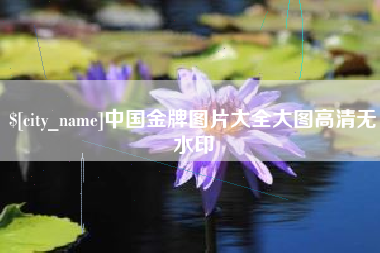 安陆中国金牌图片大全大图高清无水印