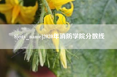 安陆2020年消防学院分数线
