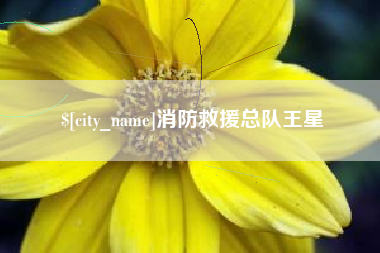 安陆消防救援总队王星
