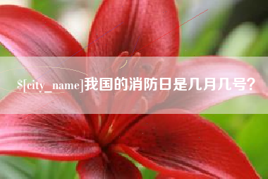 安陆我国的消防日是几月几号？