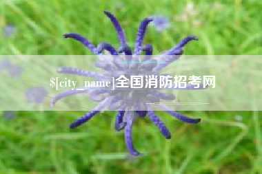 安陆全国消防招考网