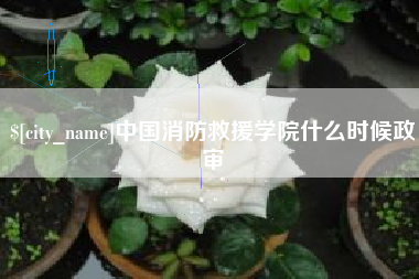 安陆中国消防救援学院什么时候政审