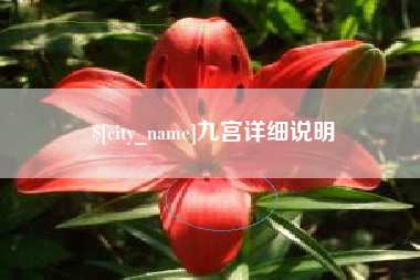 安陆九宫详细说明