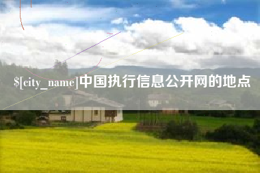 安陆中国执行信息公开网的地点