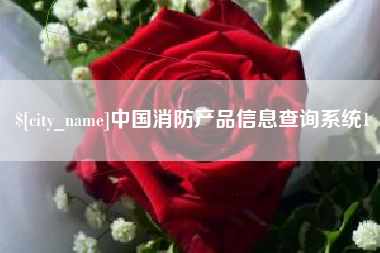 安陆中国消防产品信息查询系统1