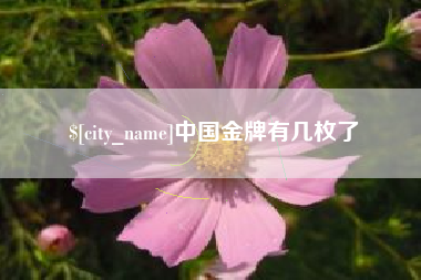 安陆中国金牌有几枚了