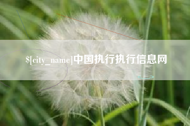 安陆中国执行执行信息网