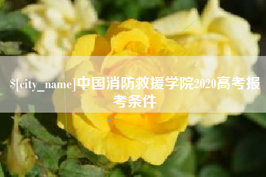 安陆中国消防救援学院2020高考报考条件
