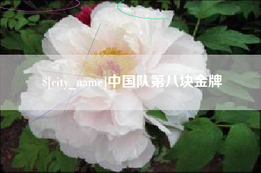 安陆中国队第八块金牌