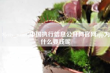 安陆中国执行信息公开网官网app为什么要钱呢