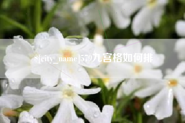 安陆579九宫格如何排