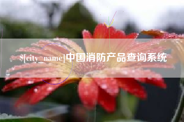 安陆中国消防产品查询系统