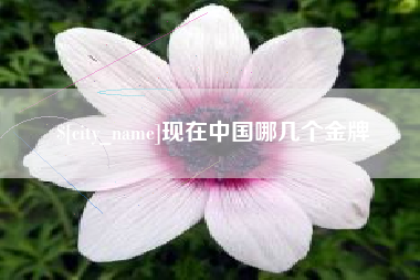 安陆现在中国哪几个金牌