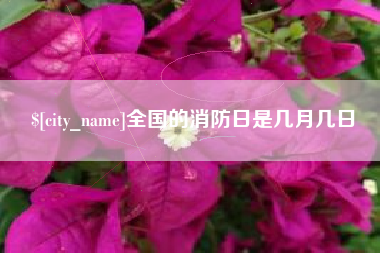 安陆全国的消防日是几月几日