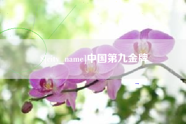 安陆中国第九金牌