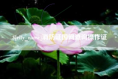 安陆消防证国网查询操作证