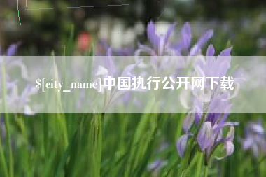 安陆中国执行公开网下载