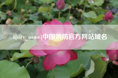 安陆中国消防官方网站域名