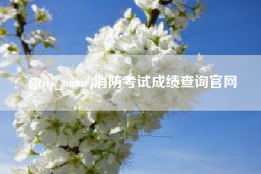 安陆消防考试成绩查询官网