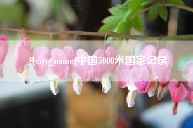 安陆中国5000米国家记录