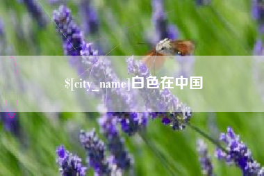 安陆白色在中国