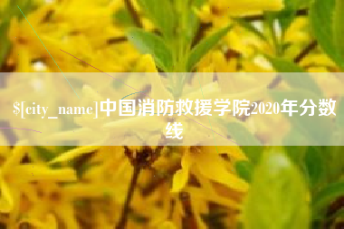 安陆中国消防救援学院2020年分数线