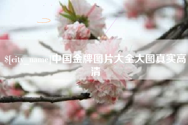 安陆中国金牌图片大全大图真实高清