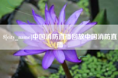 安陆中国消防直播回放中国消防直播
