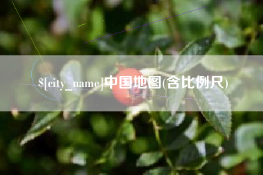 安陆中国地图(含比例尺)