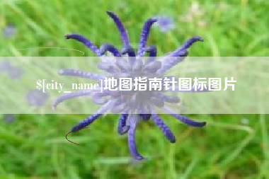 安陆地图指南针图标图片