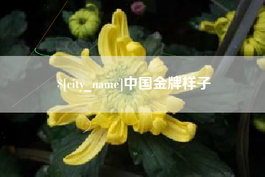 安陆中国金牌样子