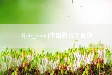 安陆中国的几个金牌