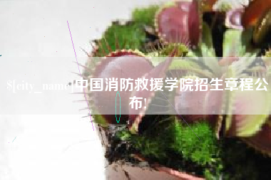 安陆中国消防救援学院招生章程公布!