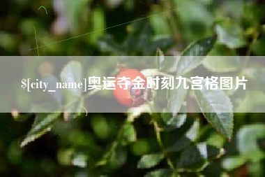 安陆奥运夺金时刻九宫格图片