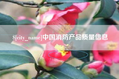 安陆中国消防产品质量信息